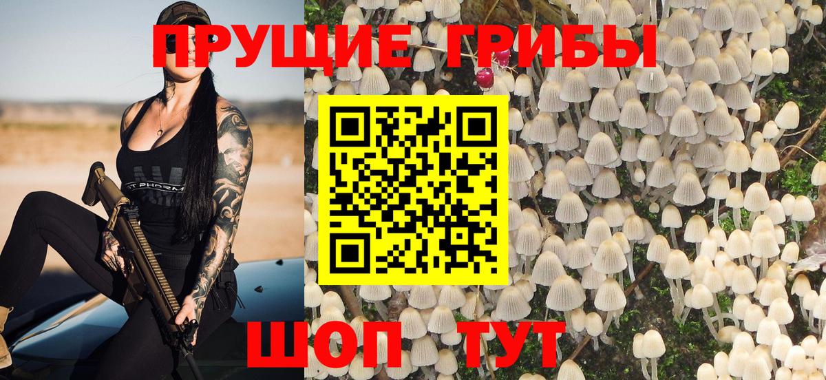 Псилоцибиновые грибы ЛСД Элиста