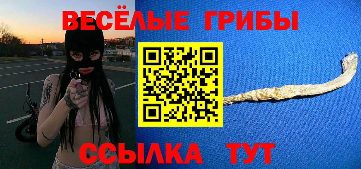 Галлюциногенные грибы мицелий  Вход с VPN  Галлюциногенные грибы Psilocybe  купить наркоту  Элиста 